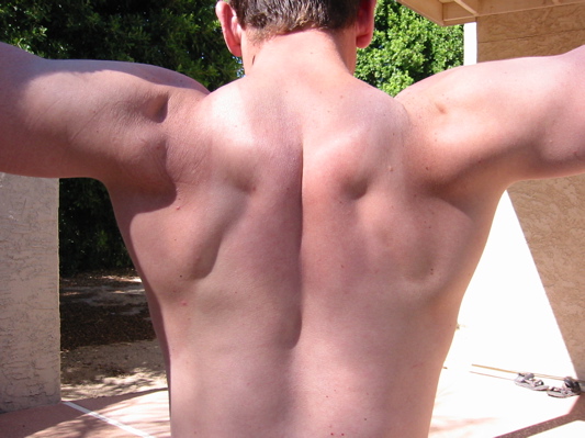 Ted_back.JPG