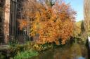 dommel.JPG