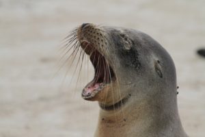IMG_1062
